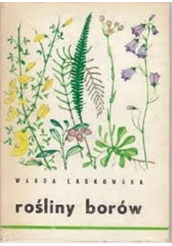 Rośliny borów