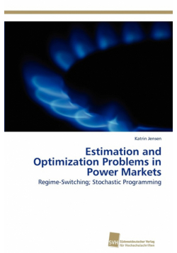 Estimation and Optimization Problems in Power Markets