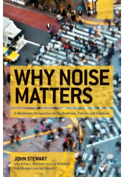 Why Noise Matters