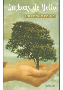 Przebudzenie