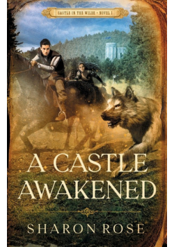 A Castle Awakened