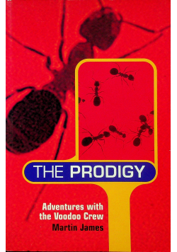 The Prodigy Adventures with the Voodoo Crew