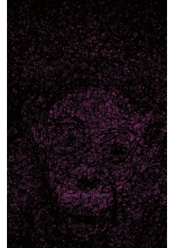 Seeing the Unseen