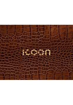 Icoon