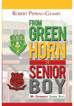 FROM GREENHORN TO SENIOR BOY  My Secondary School Days