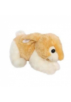 Królik domowy-kaszmirowy 31cm