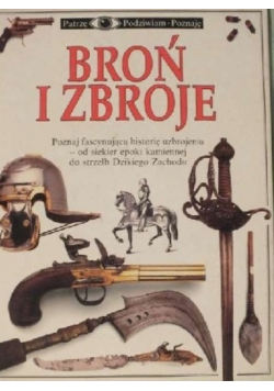 Broń i zbroje