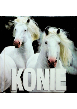 Konie