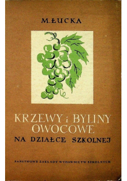 Krzewy i byliny owocowe na działce szkolnej