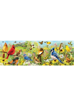 Puzzle 1000 Ptaki w ogrodzie, Panorama