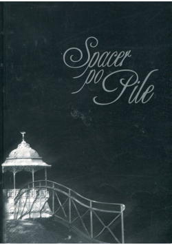 Spacer po pile