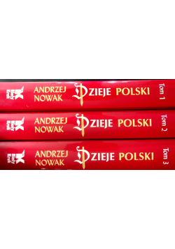 Dzieje Polski Tom 1  do 3
