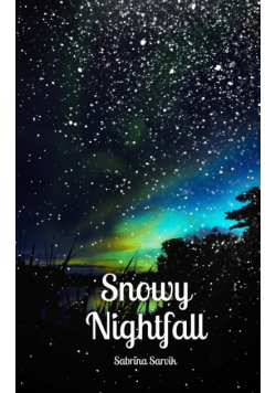 Snowy Nightfall