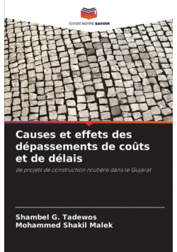 Causes et effets des dépassements de coûts et de délais