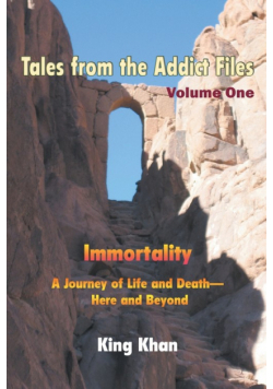 Tales from the Addict Files Volume 1