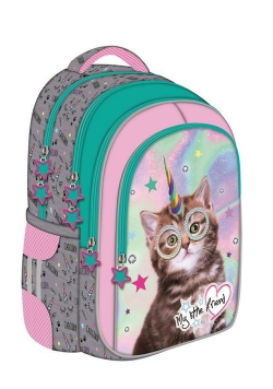 Plecak szkolny BP-58 My little friend Catcorn
