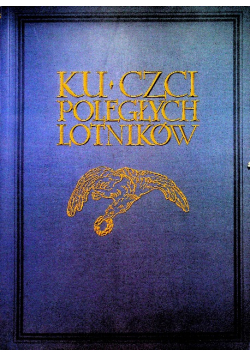 Ku czci poległych lotników