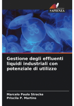 Gestione degli effluenti liquidi industriali con potenziale di utilizzo