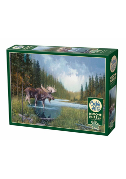 Puzzle 1000 Spacer nad rzeką G3