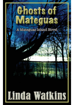 Ghosts of Mateguas
