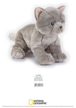 Pluszak Brytyjski krótkowłosy kociak National Geographic Kids