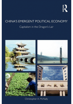 China's Emergent Political Economy