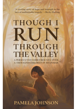 Though I Run Through the Valley
