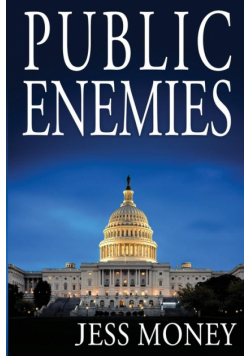 Public Enemies