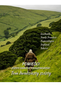 Powieści Józefa Ignacego Kraszewskiego. Tom 26