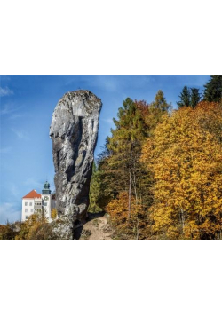 Kalendarz 2020 Trójdzielny Ojcowski Park RADWAN