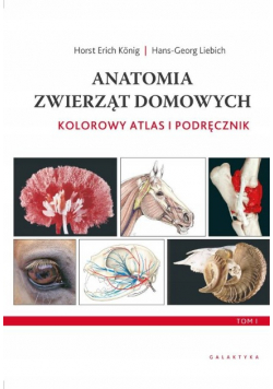 Anatomia zwierząt domowych.