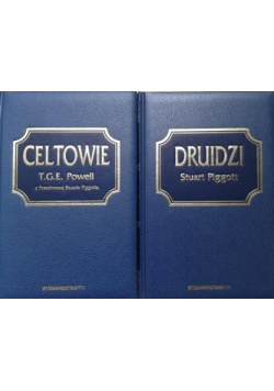 Druidzi /Celtowie