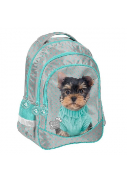 Plecak szkolny Studio Pets PTH-181 PASO