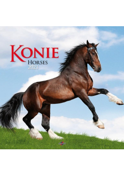 Kalendarz 2021 KD-22 Konie AVANTI