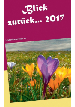 Blick zurück ... 2017