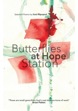 Butterflies at Hope Station