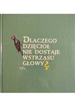 Dlaczego Dzięcioł Nie Dostaje Wstrząsu Głowy