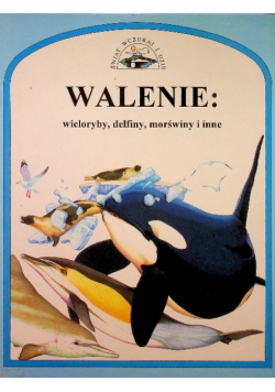 Walenie wieloryby delfiny morświny i inne