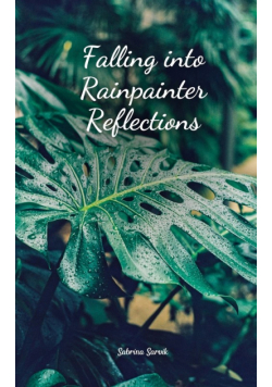 Falling into Rainpainter Reflections