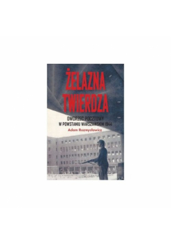 Żelazna twierdza