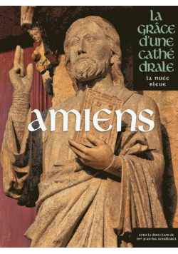 Amiens: La grace d'une cathe drale