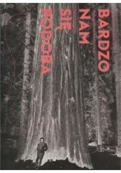 Bardzo nam się podoba