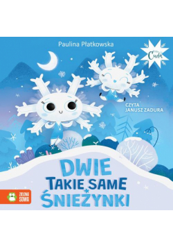 Dwie takie same śnieżynki