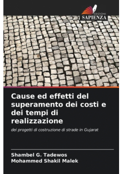Cause ed effetti del superamento dei costi e dei tempi di realizzazione