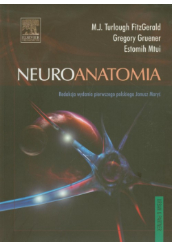Neuroanatomia