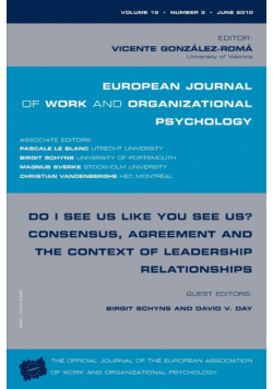 Do I See Us Like You See Us? Consensus, Agreement, and the Context of Leadership Relationships