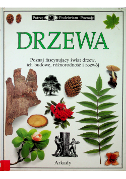 Drzewa