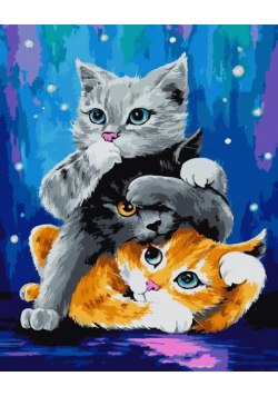 Malowanie po numerach Kotki 40x50 cm