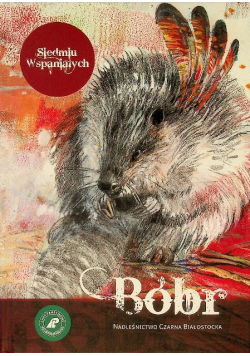 Bóbr