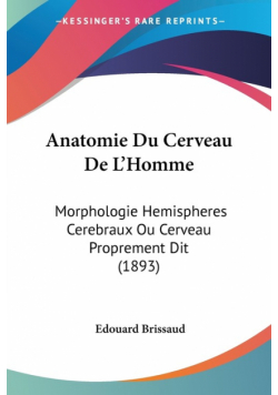 Anatomie Du Cerveau De L'Homme